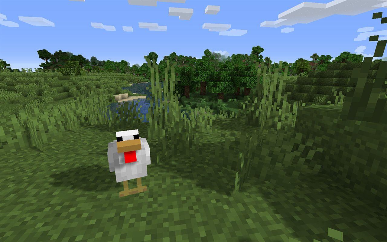 Minecraft Chicken Wallpapers - Top Free Minecraft Chicken Backgrounds ...