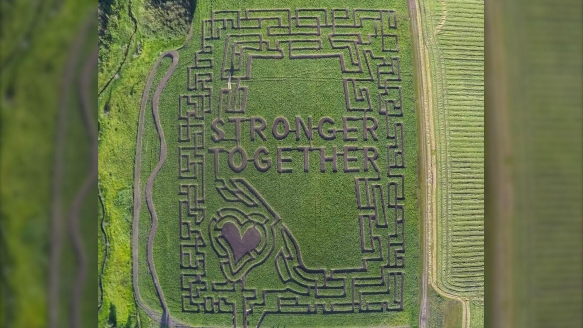 Corn Maze Wallpapers - Top Free Corn Maze Backgrounds - WallpaperAccess