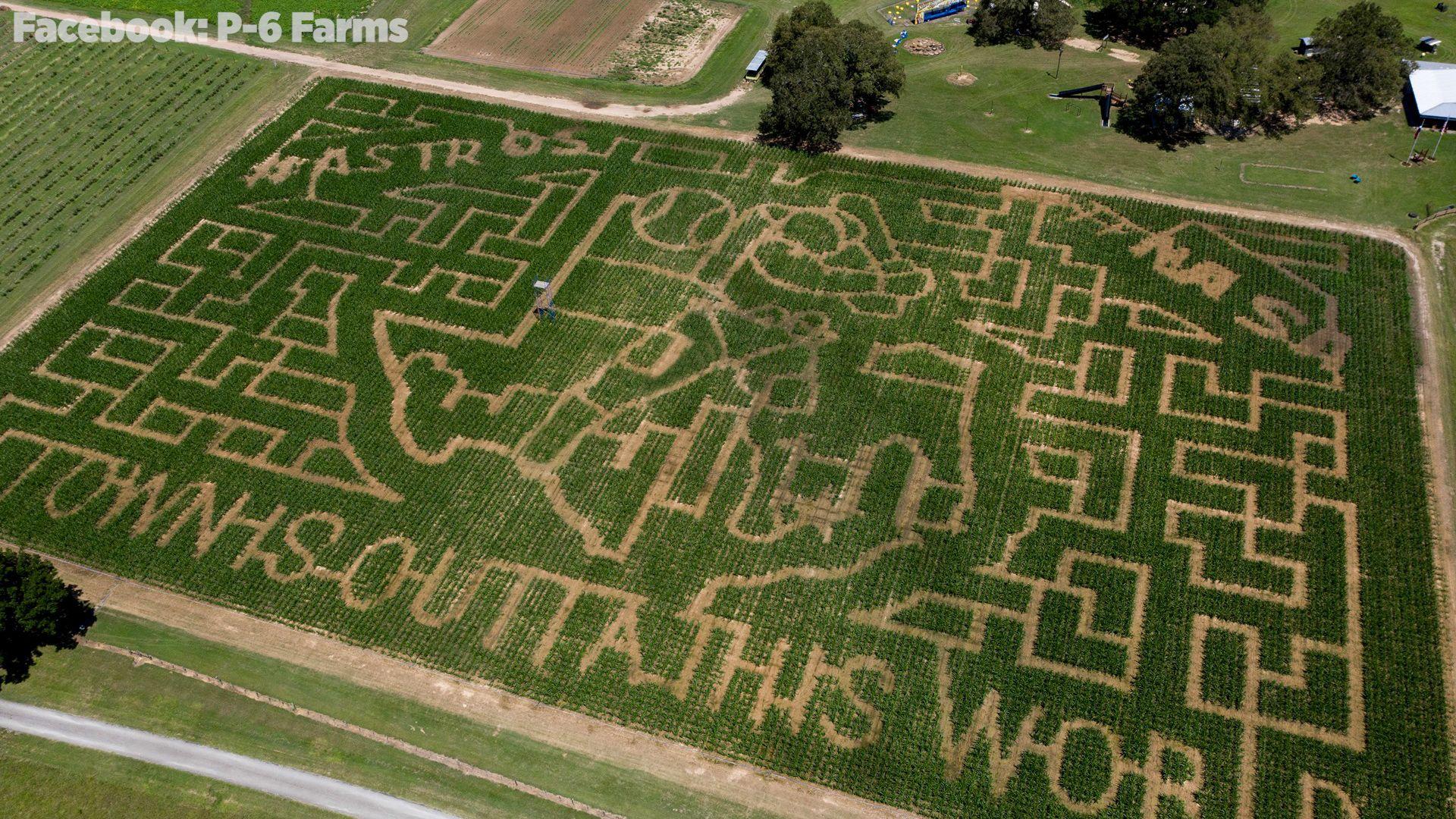 Corn Maze Wallpapers - Top Free Corn Maze Backgrounds - WallpaperAccess