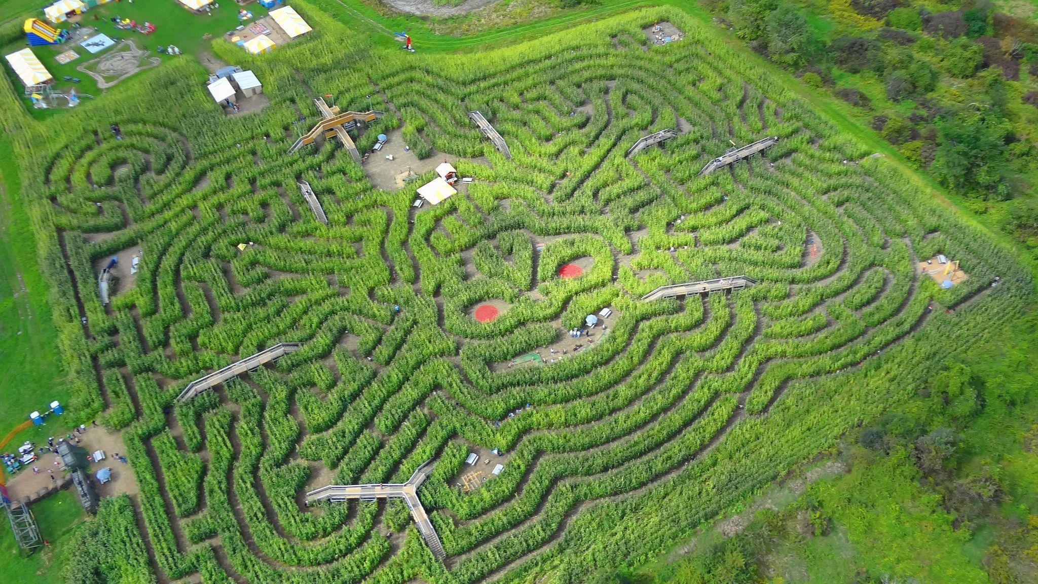 Village лабиринты. Лабиринт Лонглит (Longleat Hedge Maze), Англия, Великобритания. Лабиринт Davis' Mega Maze. Лабиринт усадьбы Лонглит. Лабиринт виллы Пизани.
