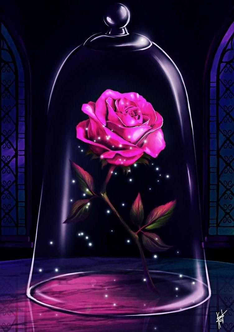 Beauty And The Beast Rose Wallpapers Top Free Beauty And The Beast Rose Backgrounds Wallpaperaccess