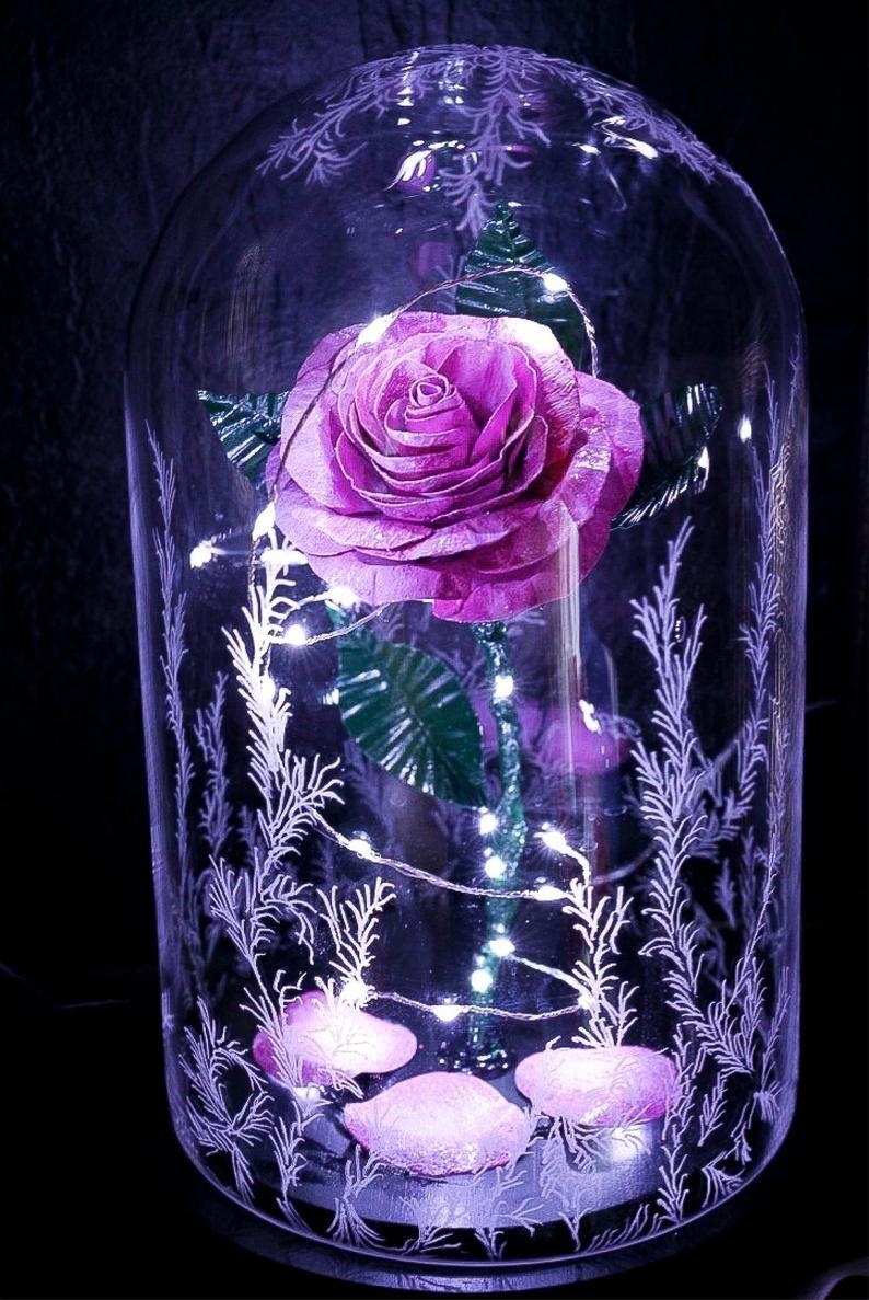 794x1187 Beauty and the Beast Rose Glass Dome Pink Metal Forever hình ảnh 2. Hình nền Beauty and the Beast, Beauty and the Beast flower, Beautiful flowers wallpaper