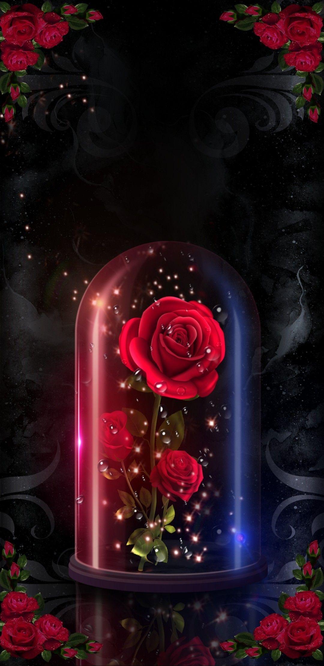 Beauty And The Beast Rose Wallpapers - Top Free Beauty And The Beast Rose Backgrounds