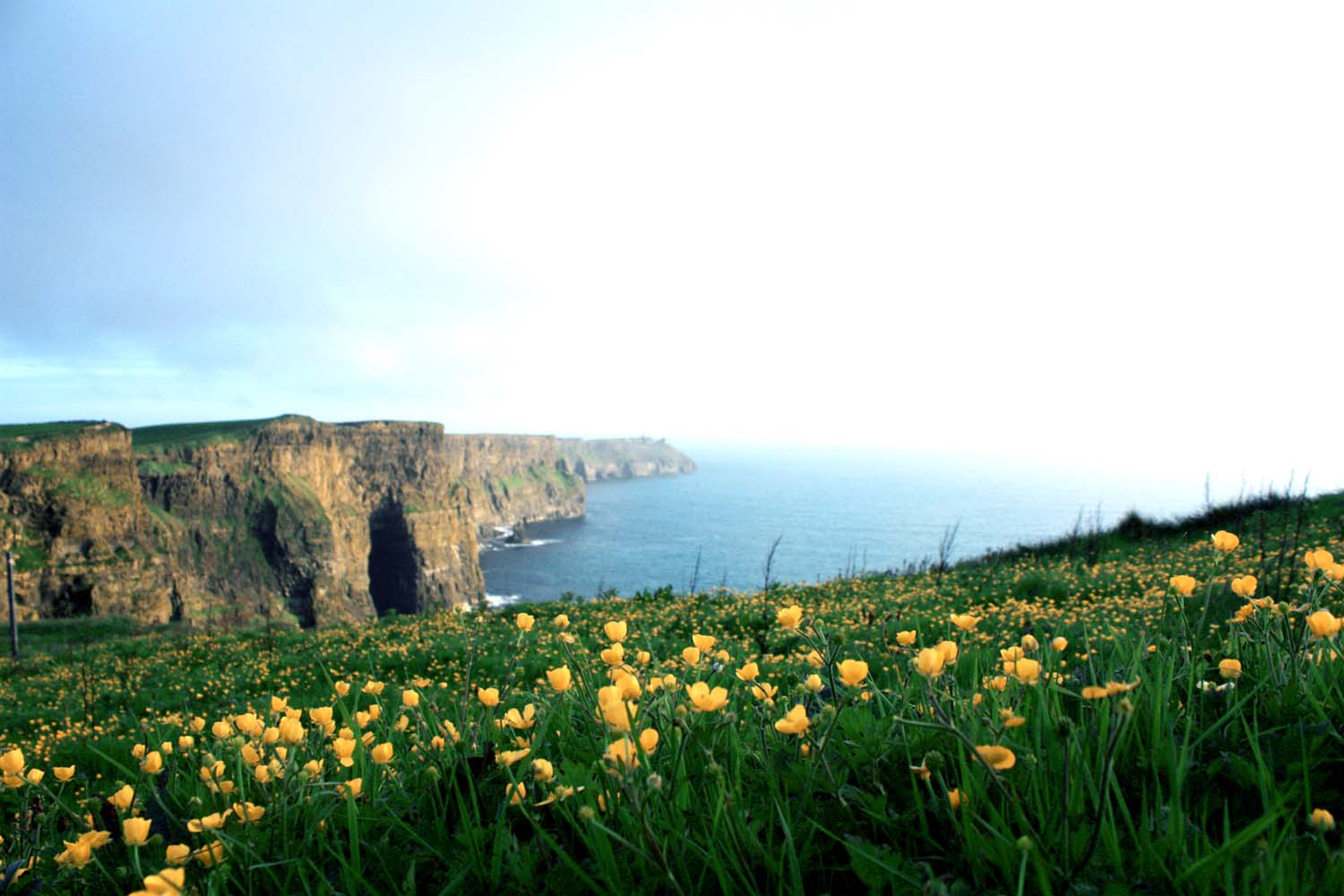 1500x1000 Free download Ireland 10 things to do and see near the Cliffs of Moher [1500x1000] for your Desktop, Mobile & Tablet. Explore Cliffs of Moher Ireland Wallpaper