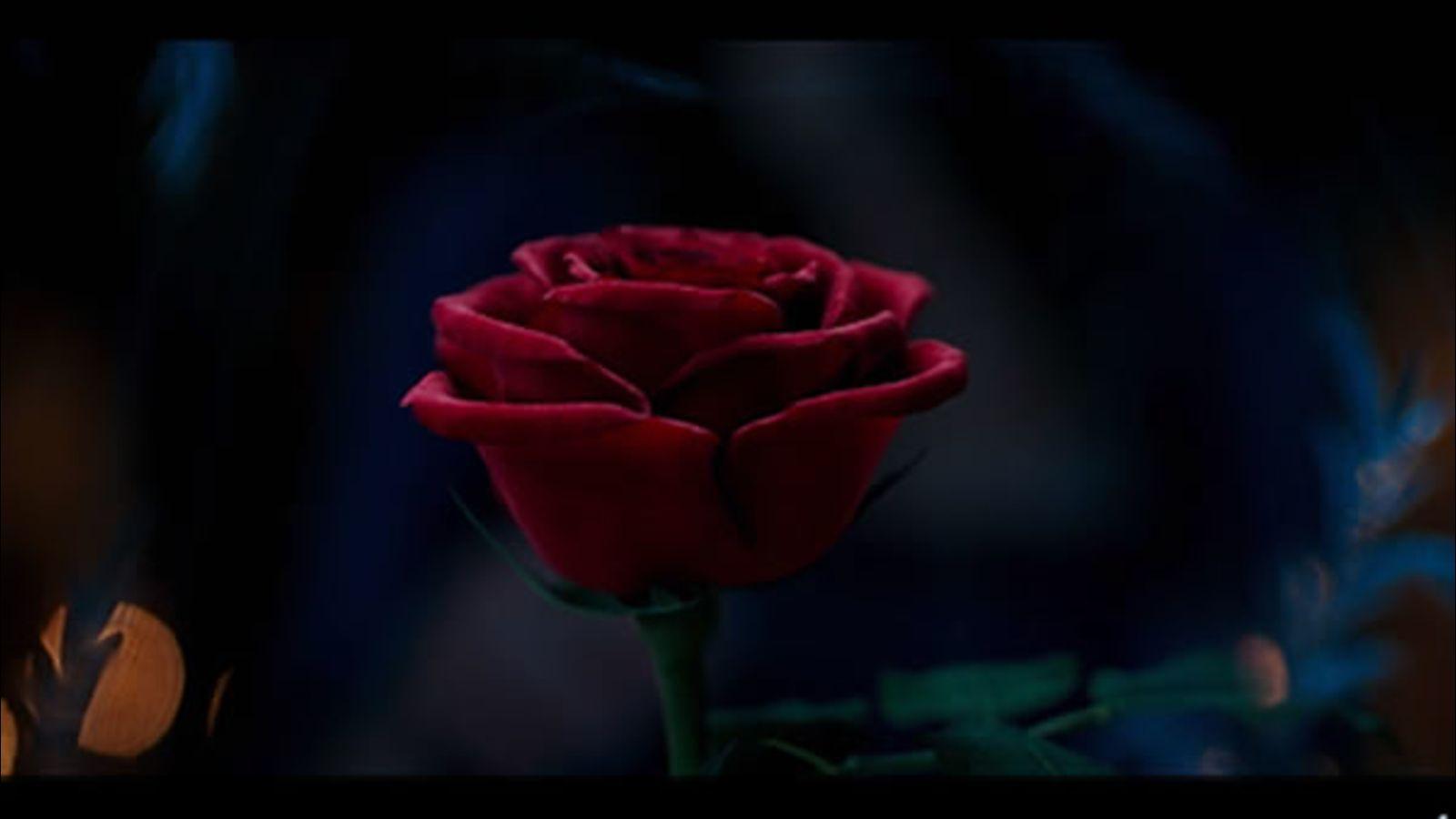 1600x900 First trailer for Disney's 'Beauty and the Beast' debuts on 'Good Morning America'