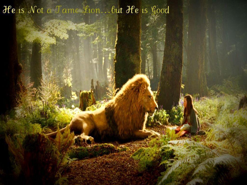 1024x768 Narnia Wallpaper. Narnia Wallpaper, The Chronicles of Narnia Wallpaper and The Chronicles of Narnia Desktop Background