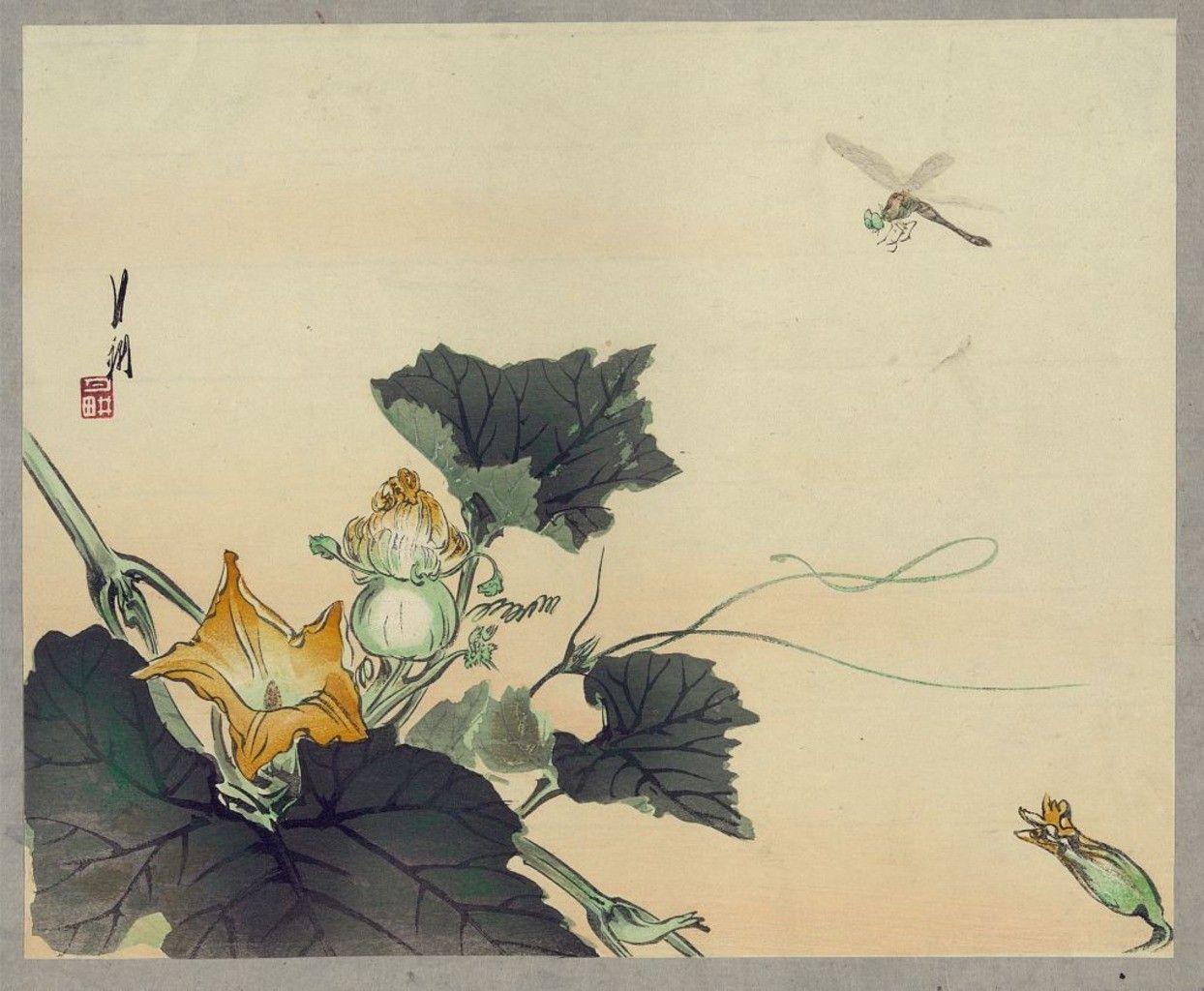 1244x1024 Flowers: Dragonfly Pumpkin Ogata Kabocha Ni Tonbou Gekko Print
