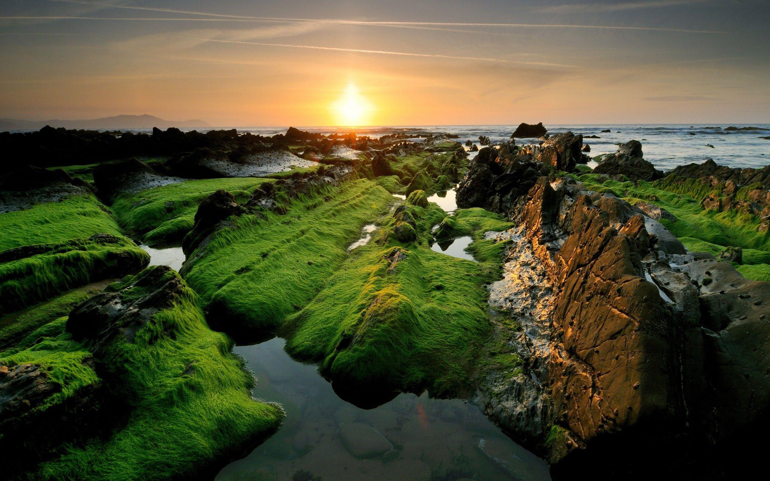 2560x1600 Daily Wallpaper: Rocky Shore. I Like To Waste My Time