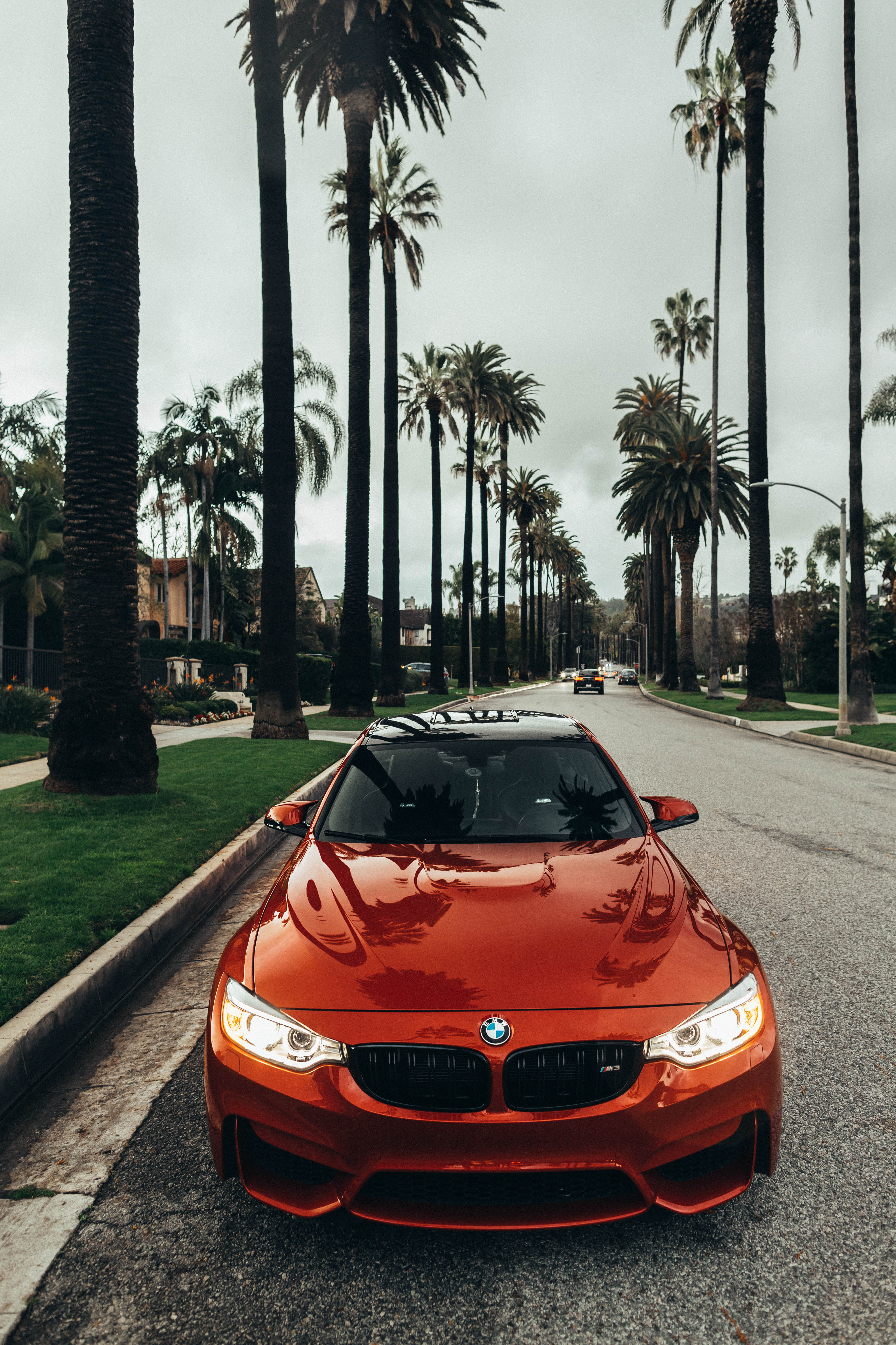 3648x5472 BMW Wallpaper: Free HD Download [HQ]