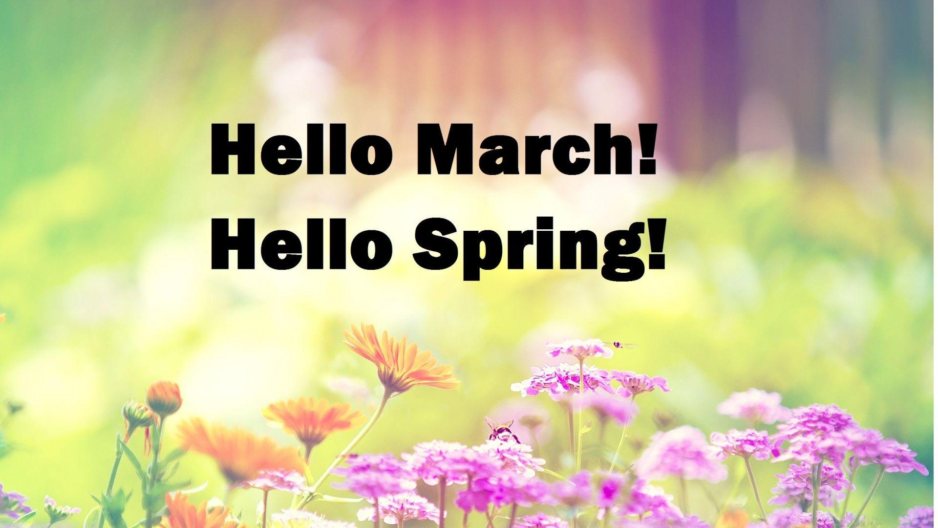 Hello Spring Wallpapers - Top Free Hello Spring Backgrounds ...