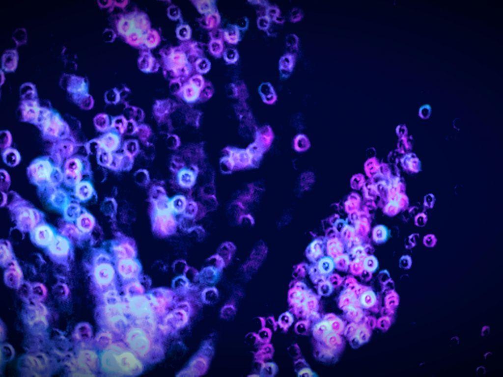 1024x768 Bubbles 4K wallpaper for your desktop or mobile screen free and easy to download