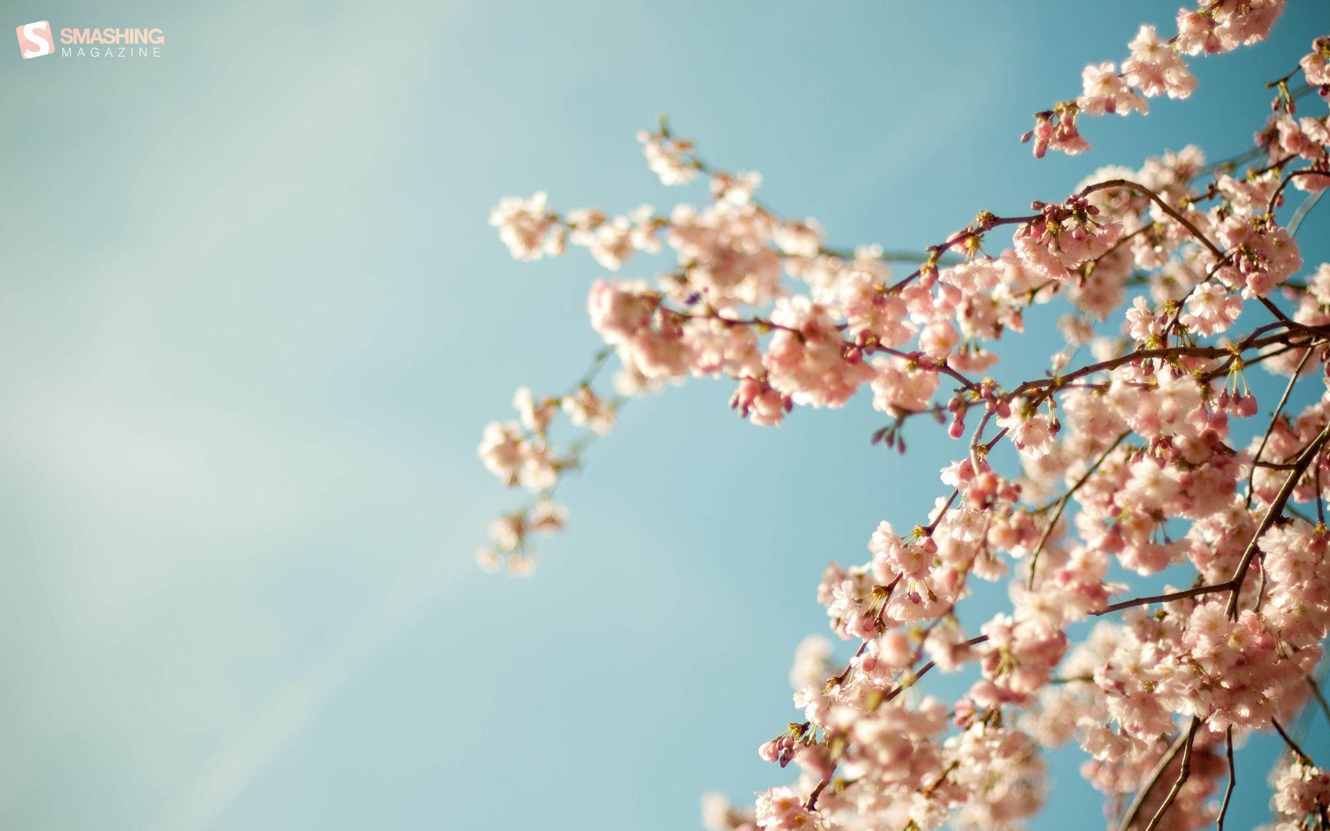 1920x1200 Desktop Wallpaper Calendar: April 2011