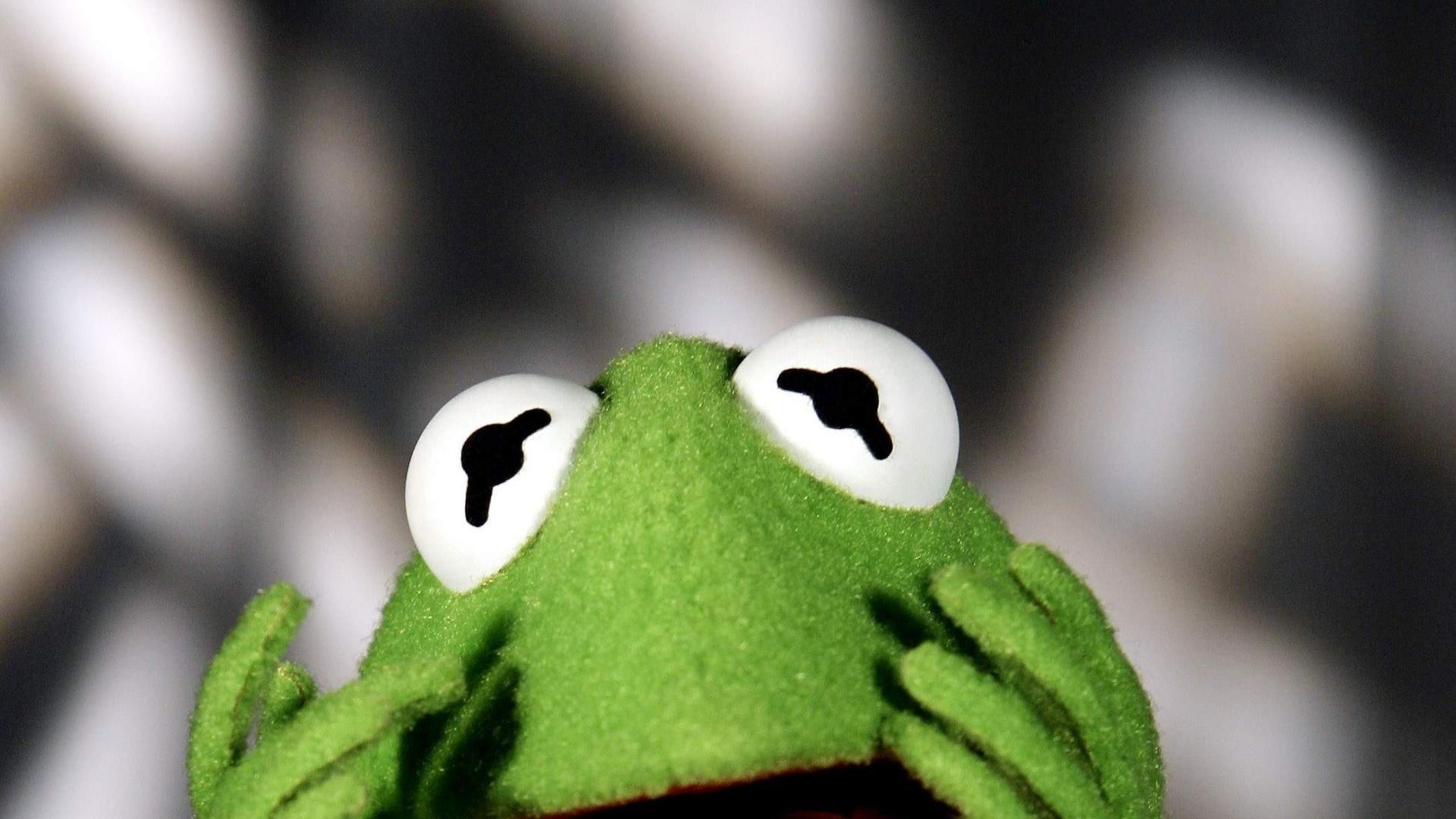 1920x1080 Kermit The Frog Muppet Show Wallpaper 102637 The Frog HD Wallpaper