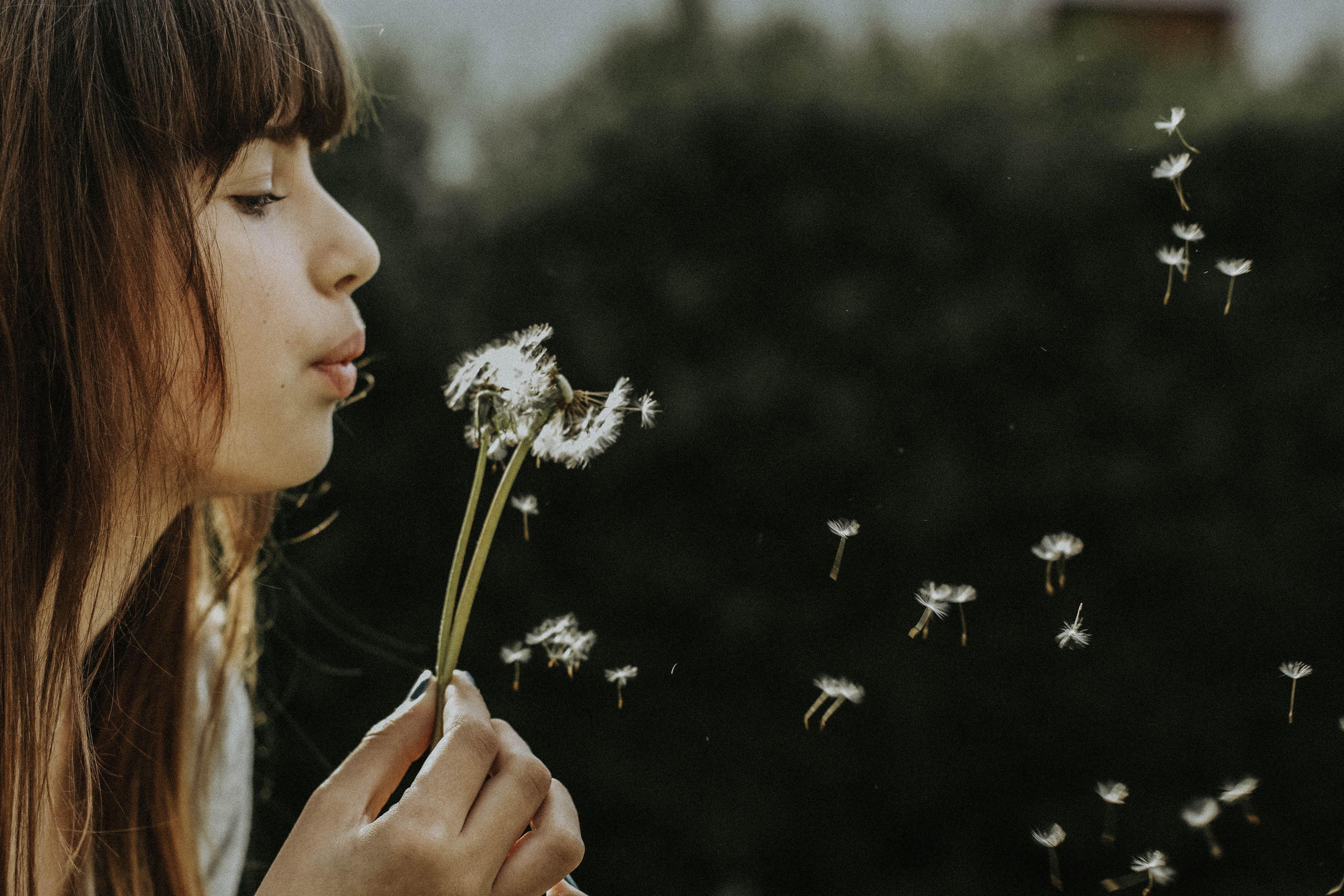 4851x3234 4851x3234 #cute background, #wallpaper, #Free image, #girl, #blowing, #wind, #evening, #cute wallpaper, #woman, #seed, #flower, #blow, #dandelion, #holding, #breath, #caucasian. Mocah HD Wallpaper