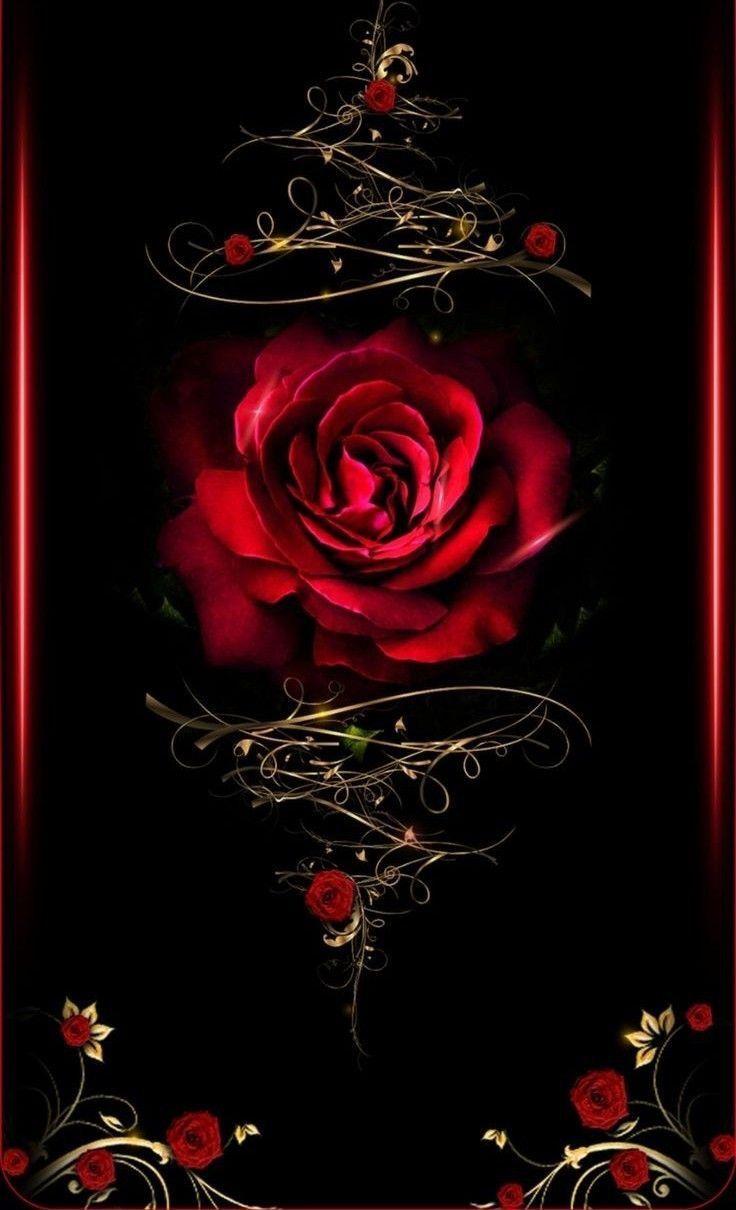 736x1210 Penguins and other stuff. Rose art, Gothic wallpaper, Flower art