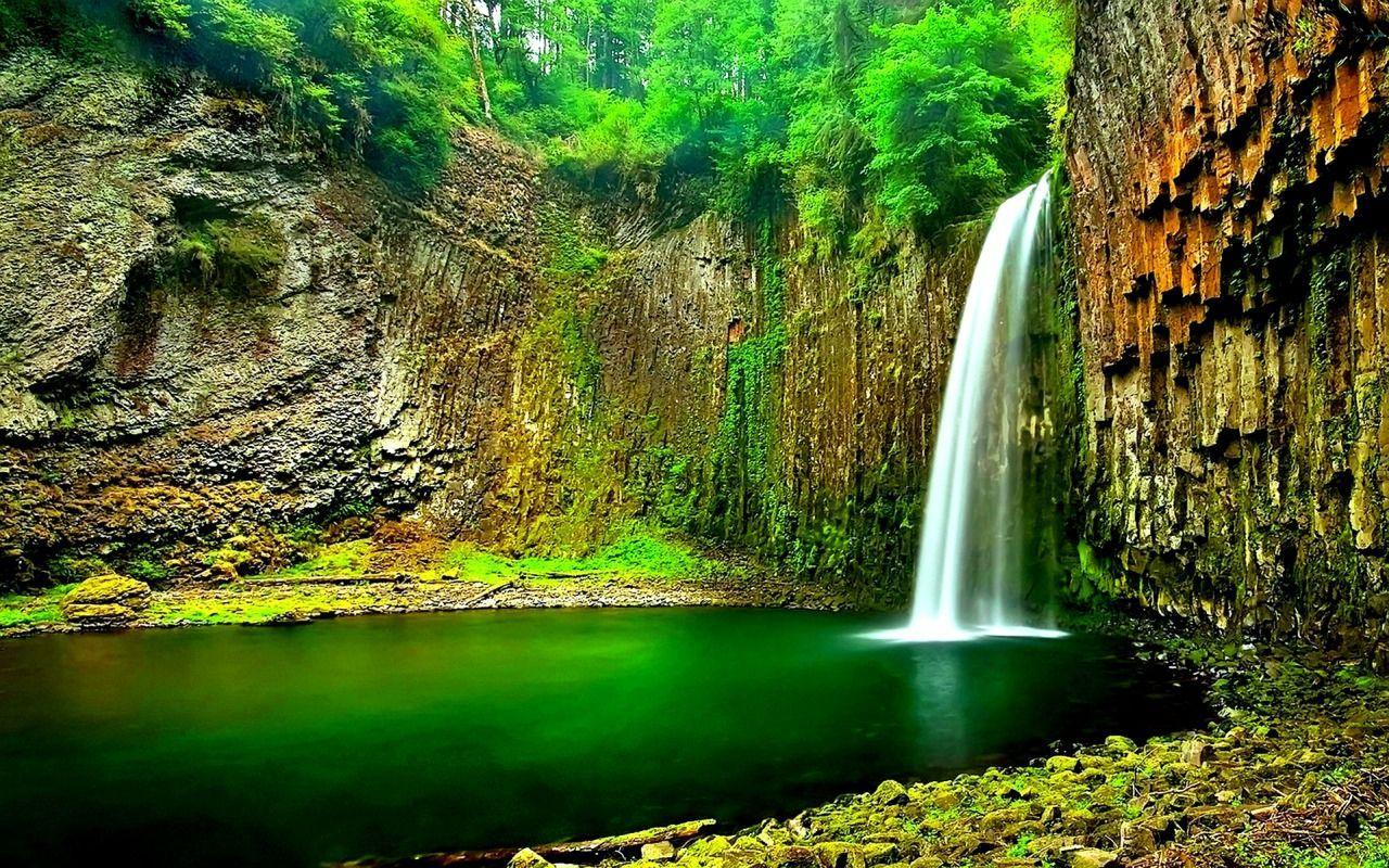 1280x800 Jungle Paradise. Waterfall photography, Waterfall, Forest waterfall