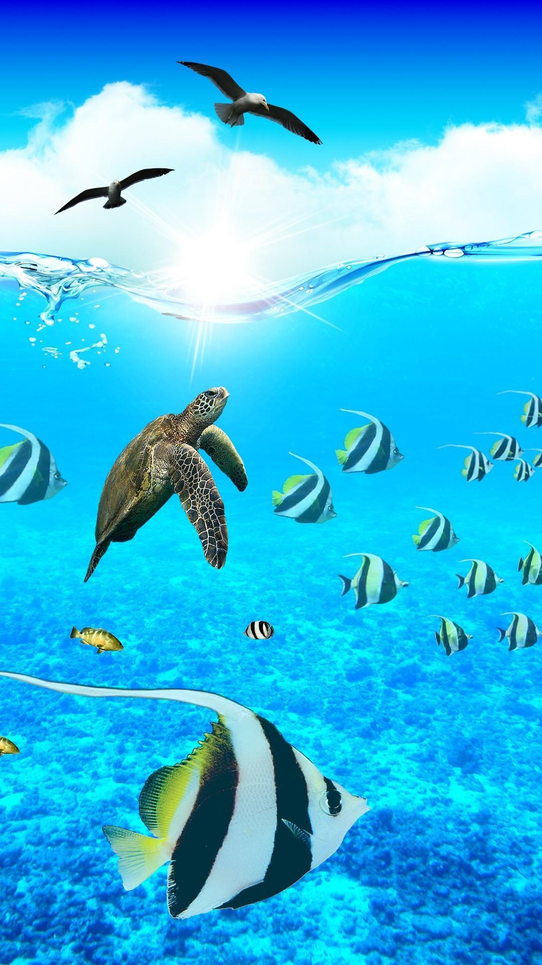 1080x1920 Paradise Under The Sea Wallpaper