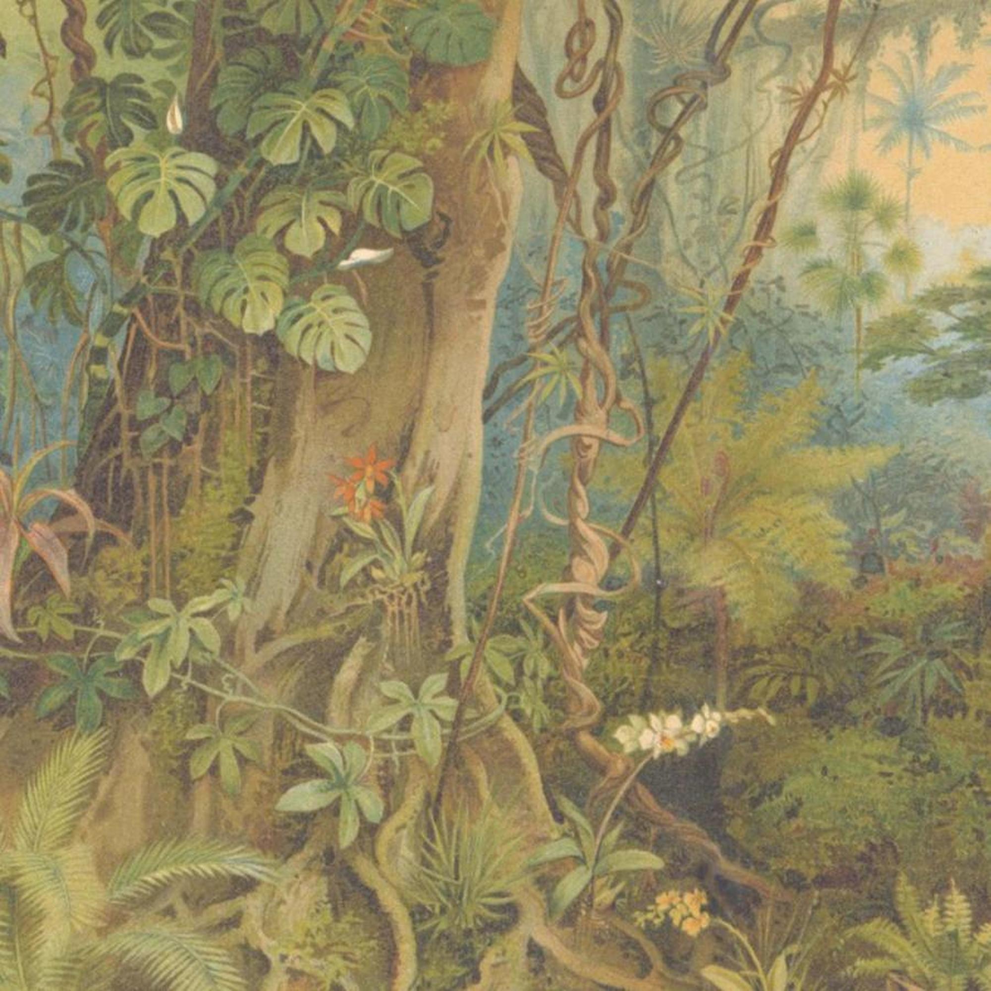 2000x2000 Tropical Paradise Wallpaper Mural