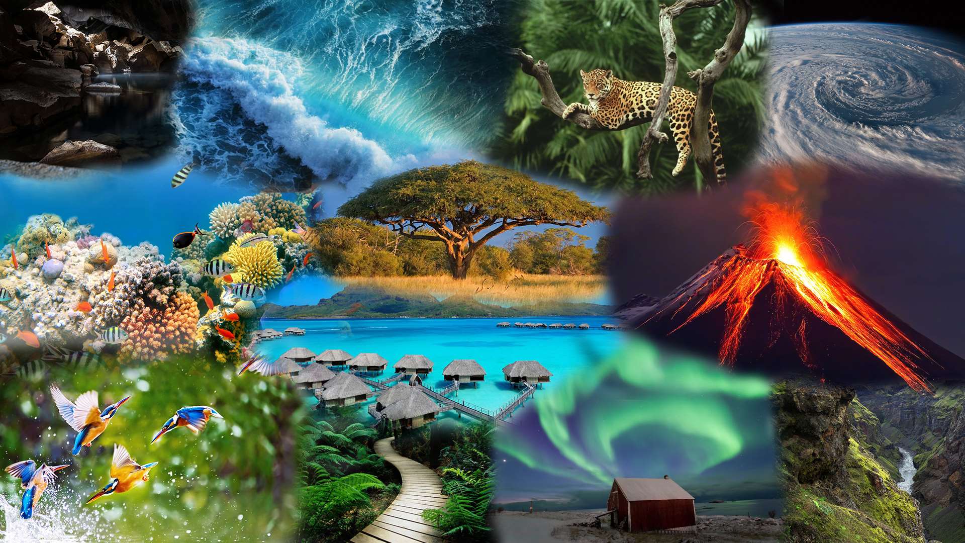 1920x1080 1920x1080 birds, blue skies, blue water, bora bora, cave, earth, HD wallpaper, island, jungle, leopard, northern lights, ocean, paradise, savannah, space, summer, under water, wallpaper, waves wallpaper JPG 294 kB