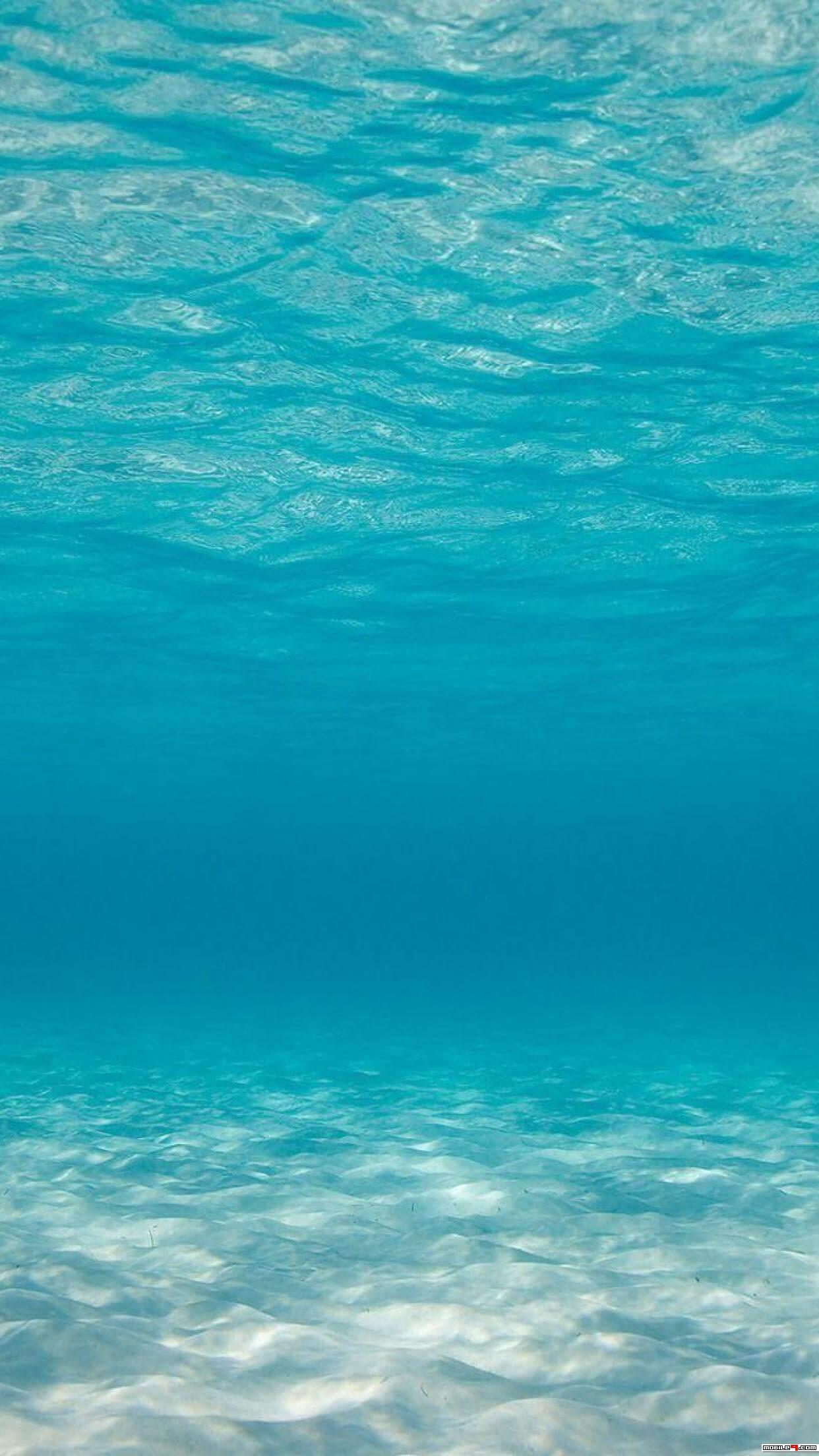 1242x2208 Download Underwater HD Wallpaper Android Apps APK 4693881 underwater wallpaper mobile9