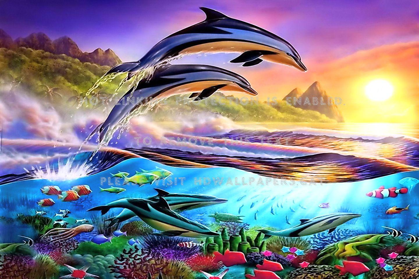 1440x960 dolphins' paradise adrian coral underwater