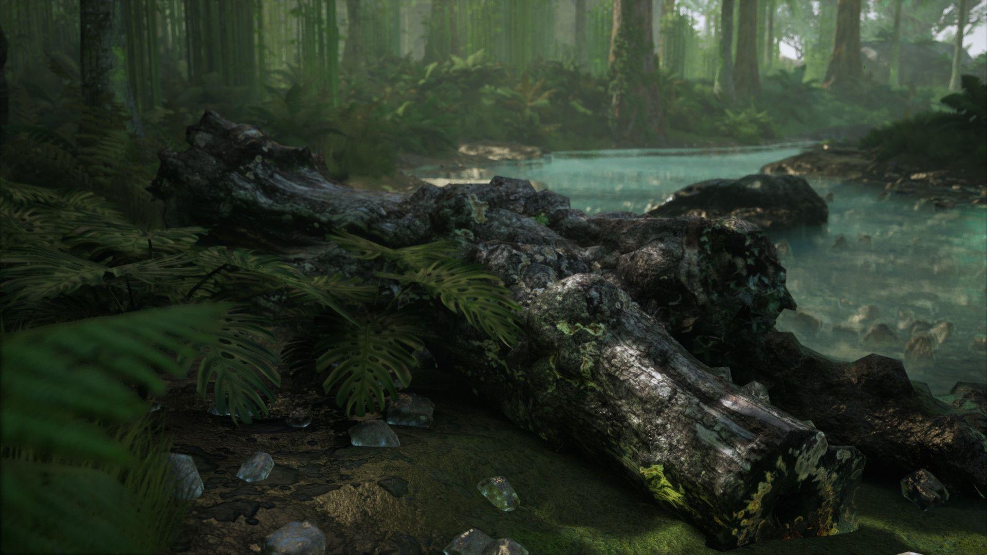 1920x1080 Jungle Paradise, George Garton