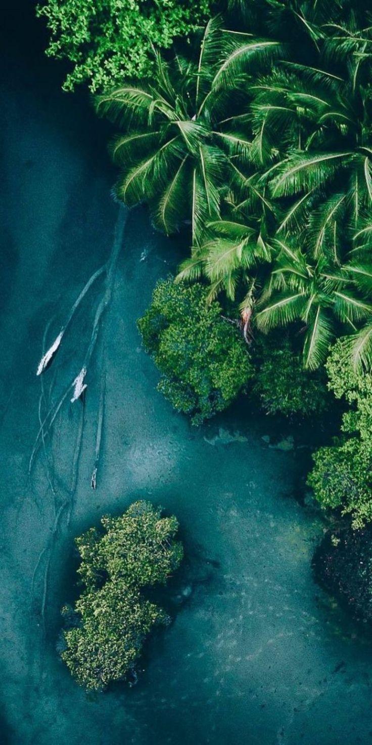 736x1472 Green Paradise Wallpaper. Paradise wallpaper, Nature photography, Landscape photography