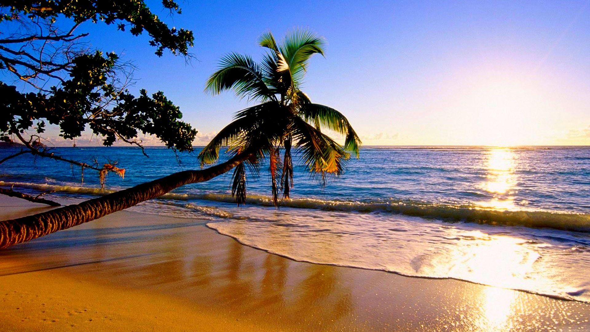 1920x1080 Paradise Wallpaper