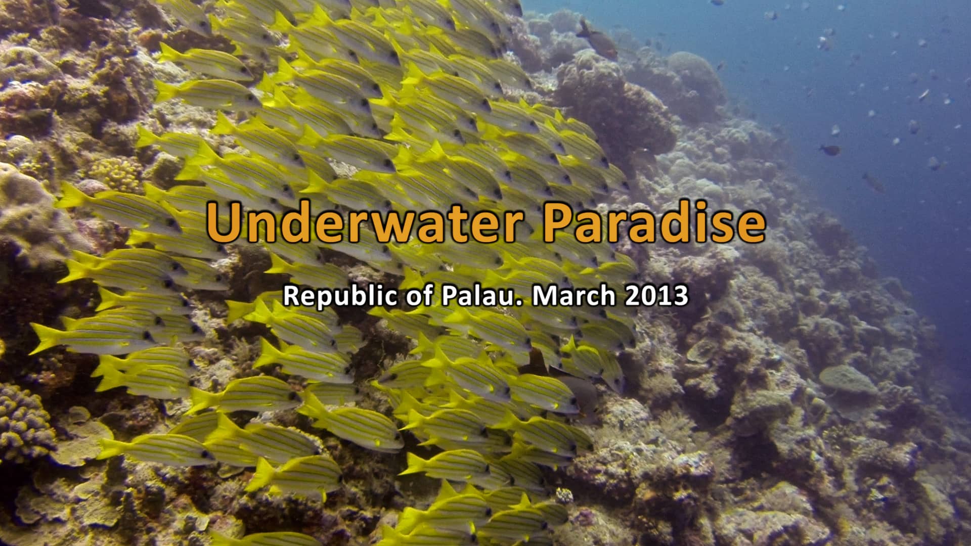 1920x1080 Underwater Paradise (Palau) on Vimeo