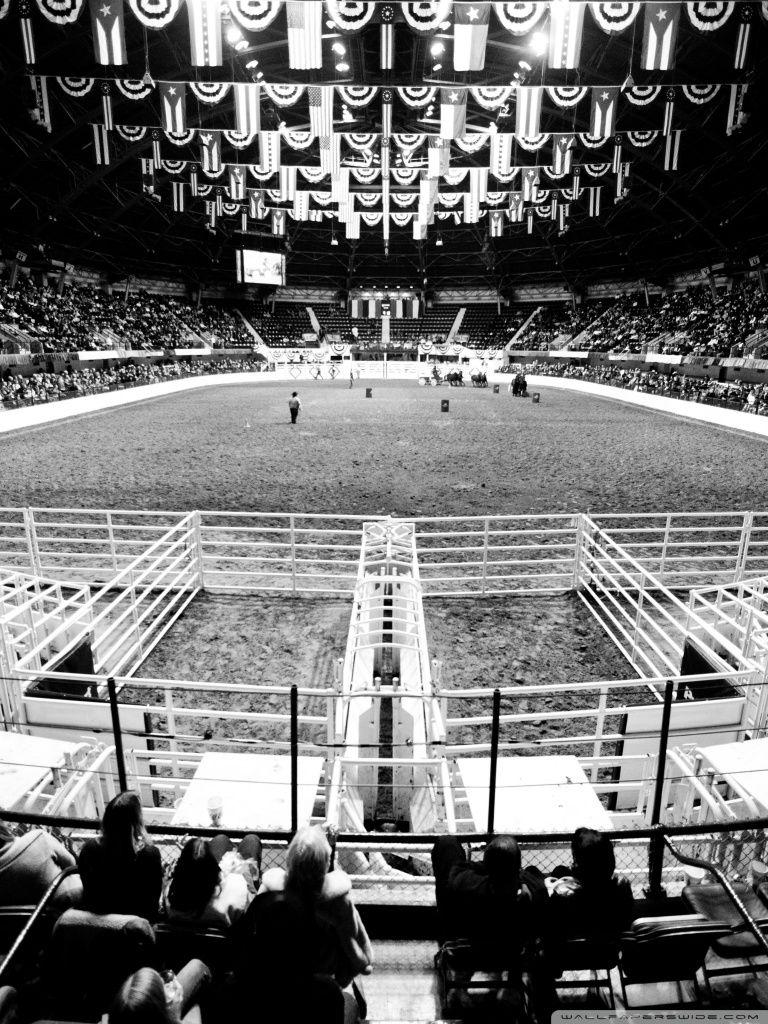 768x1024 Fort Worth Stock Show & Rodeo Ultra HD Desktop Background Wallpaper for 4K UHD TV : Widescreen & UltraWide Desktop & Laptop : Multi Display, Dual Monitor : Tablet