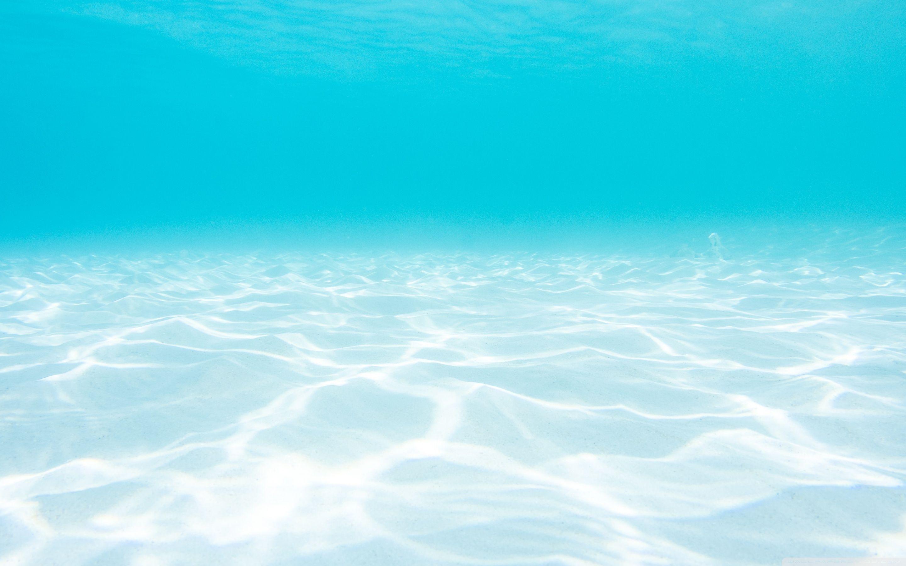 2880x1800 Ocean Underwater Ultra HD Desktop Background Wallpaper for 4K UHD TV : Widescreen & UltraWide Desktop & Laptop : Tablet