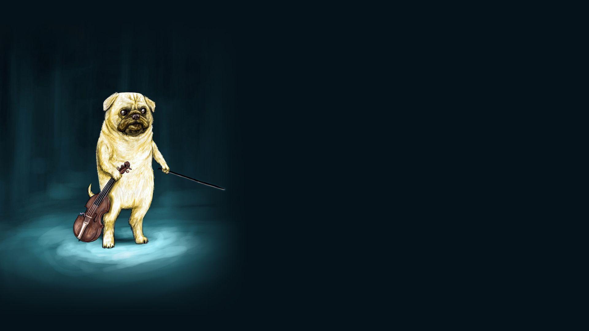 1920x1080 WTF Wallpaper. WTF Wallpaper, Reddit WTF Wallpaper and WTF Deadpool Wallpaper