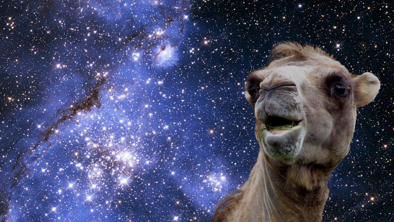 1360x768 Wtf Wallpaper