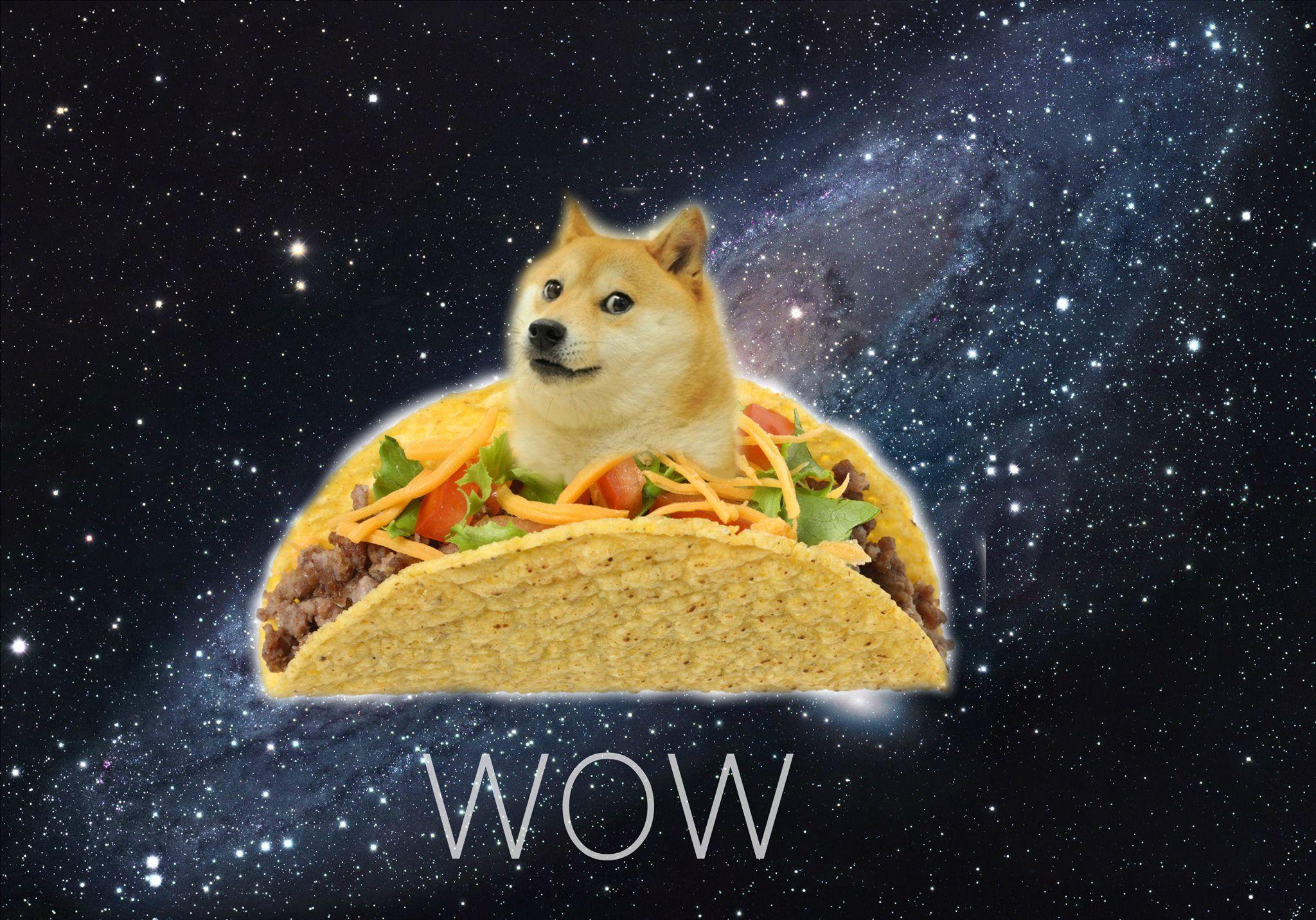 2048x1432 Wtf Wallpaperx1432