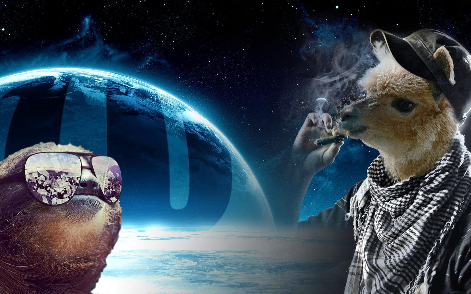 1600x1000 Wtf Wallpaperx1000