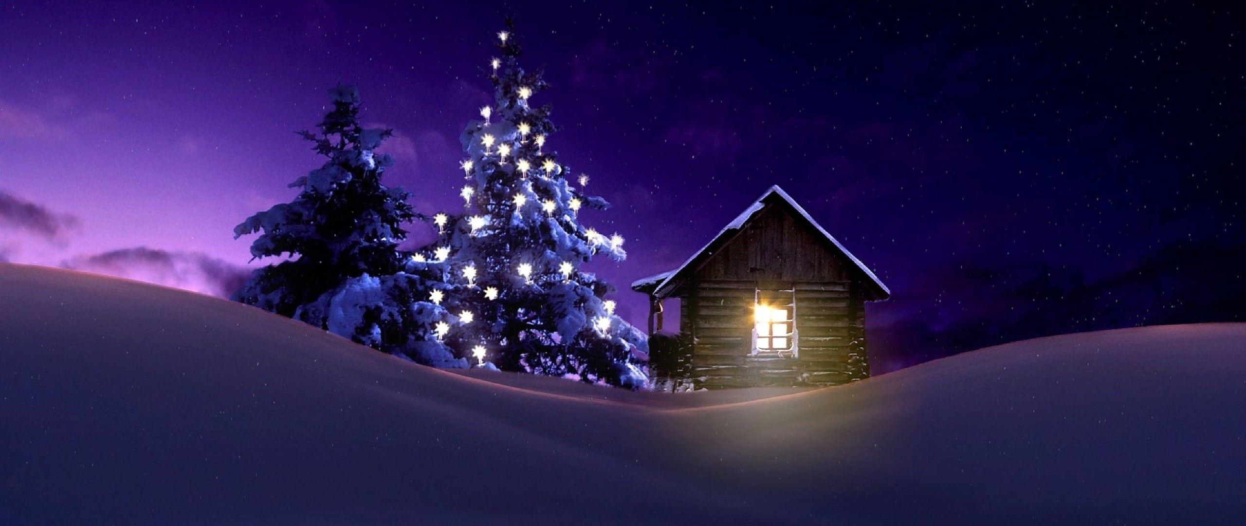 2560x1080 Christmas Lighted Tree Outside Winter Cabin 2560x1080 Resolution Wallpaper, HD Holidays 4K Wallpaper, Image, Photo and Background