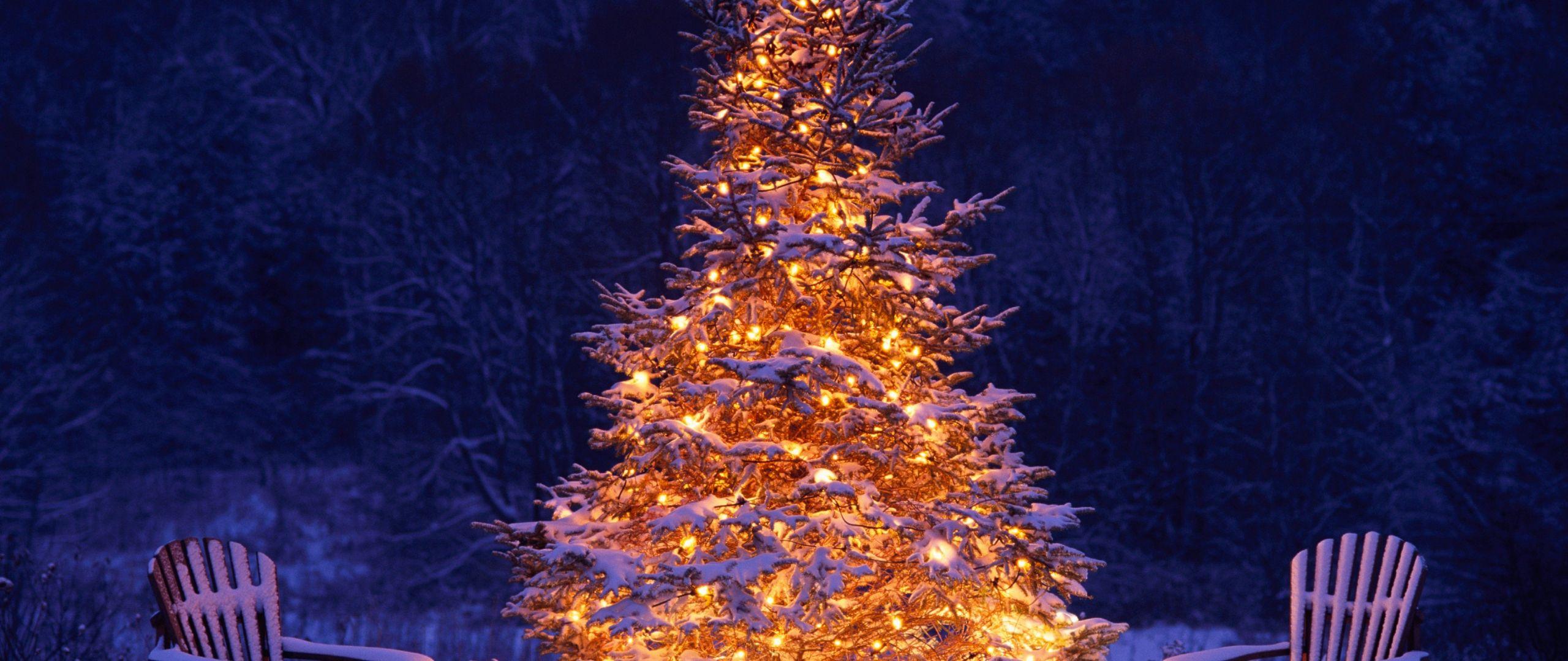 2560x1080 Download 2560x1080 wallpaper christmas tree, chairs, winter, christmas, holiday, dual wide, widescreen, 2560x1080 HD image, background, 1460