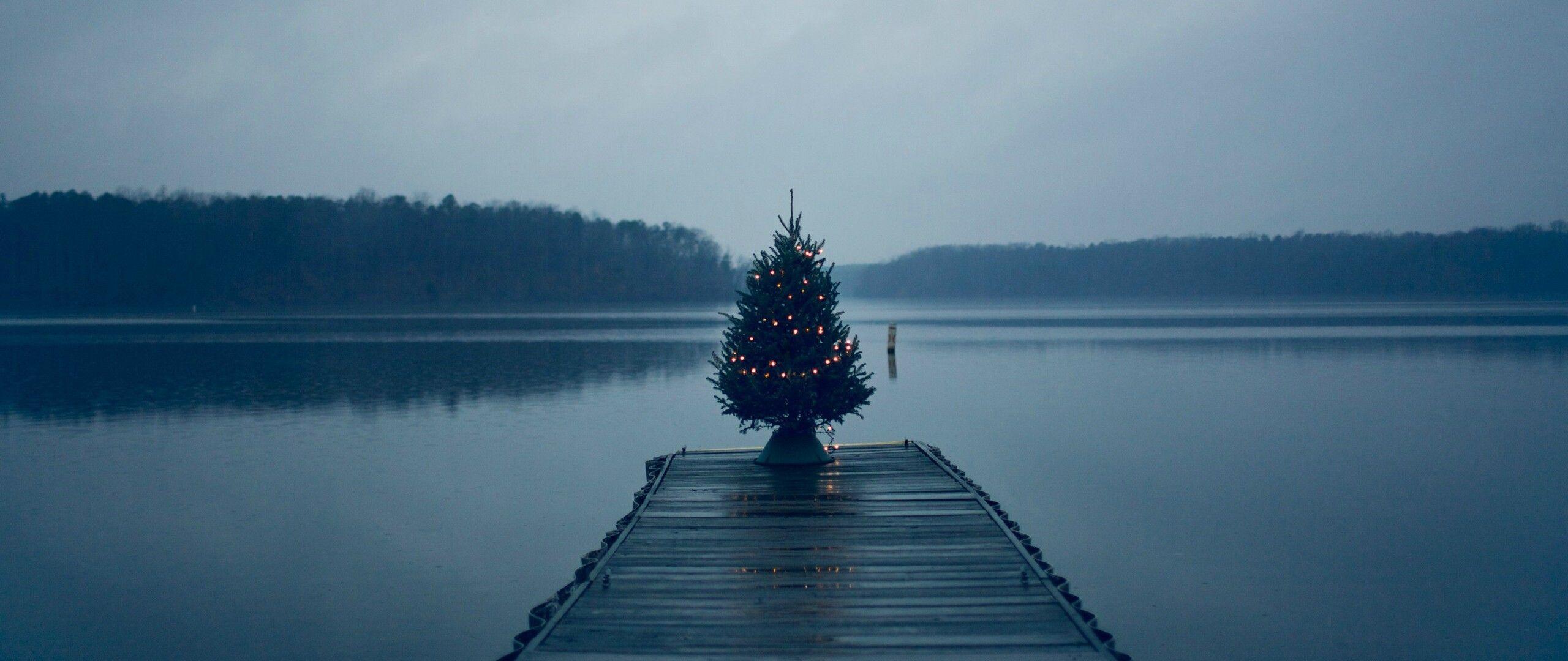 2560x1080 Christmas Tree On Pier 2560x1080 Resolution HD 4k Wallpaper, Image, Background, Photo and Picture