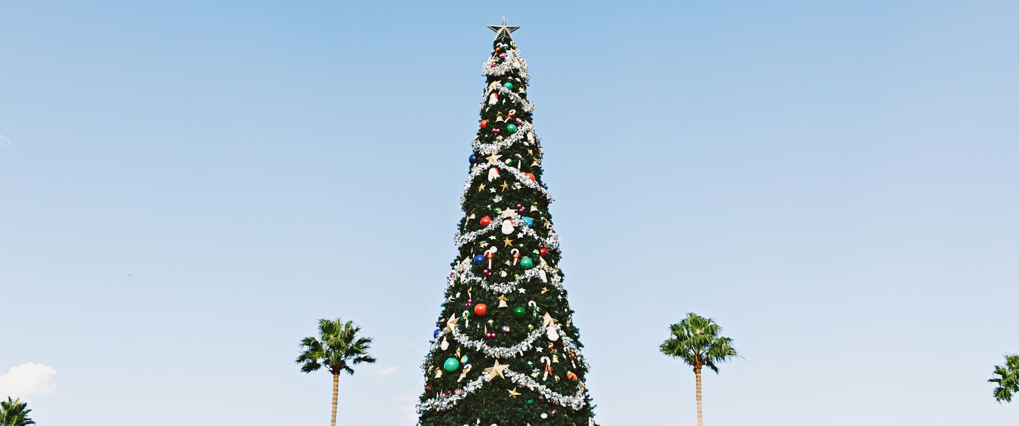 3440x1440 Christmas in Summer 21:9 Wallpaper. Ultrawide Monitor 21:9 Wallpaper