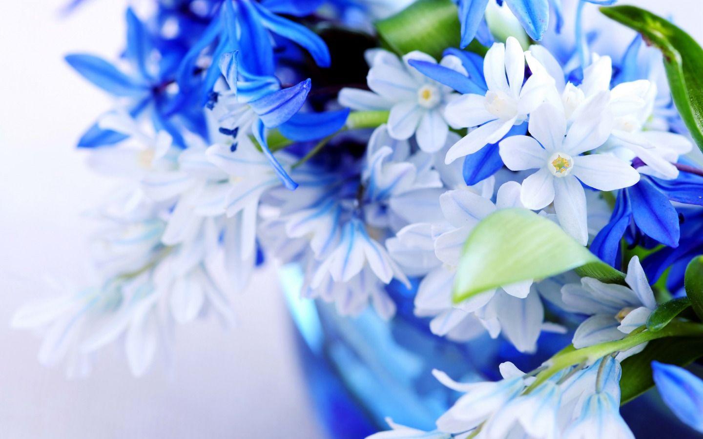 1440x900 Blue flowers search results. EskiPaper.com Cool Wallpaper