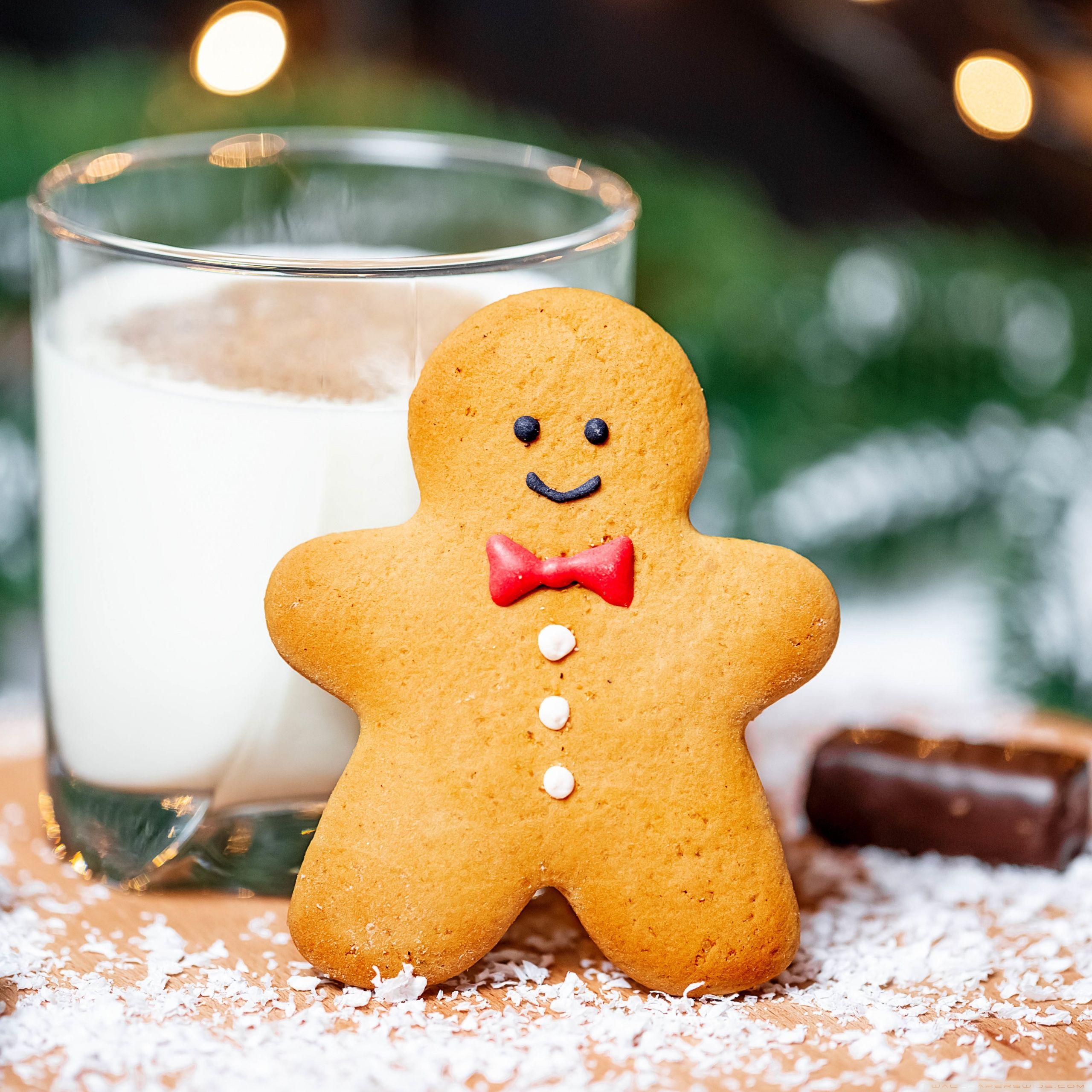2560x2560 Cookie and Milk for Santa Ultra HD Desktop Background Wallpaper for 4K UHD TV : Widescreen & UltraWide Desktop & Laptop : Tablet