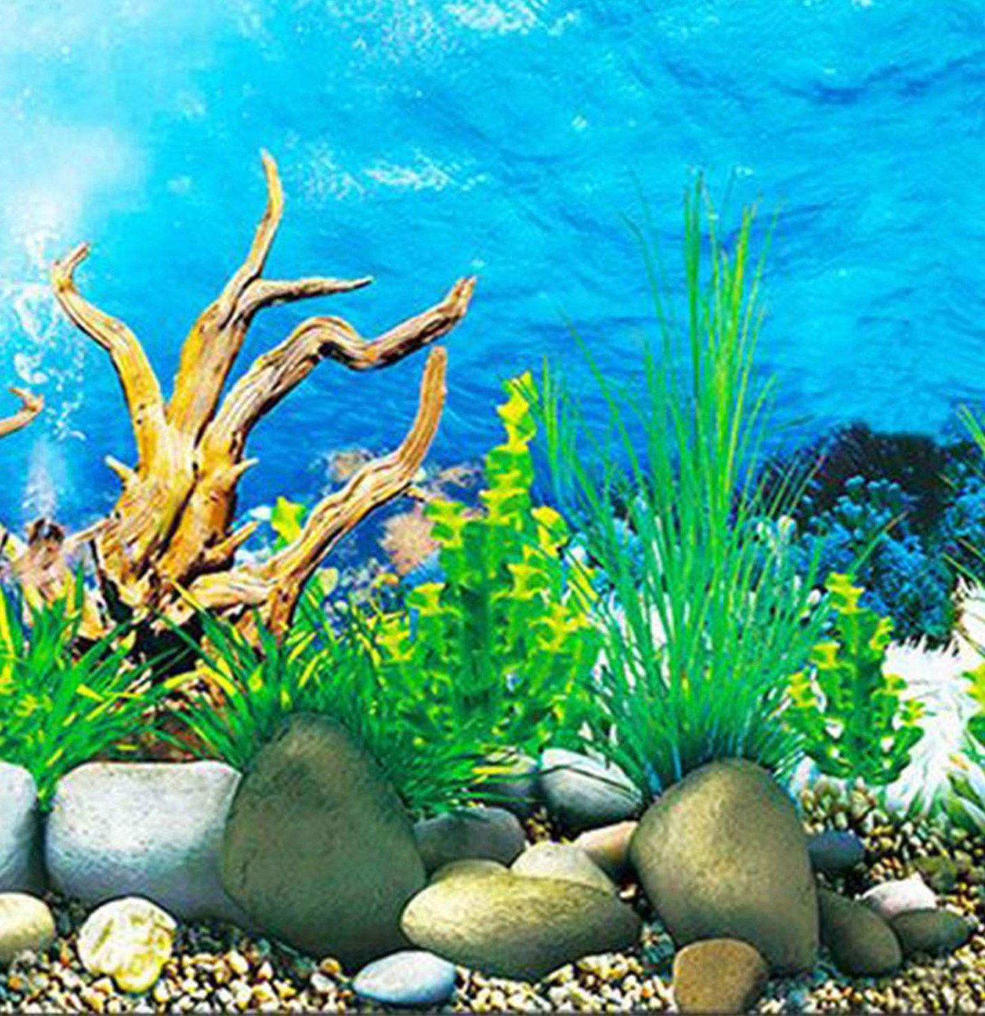 Aquarium Fish Tank Wallpapers Top Free Aquarium Fish Tank Backgrounds