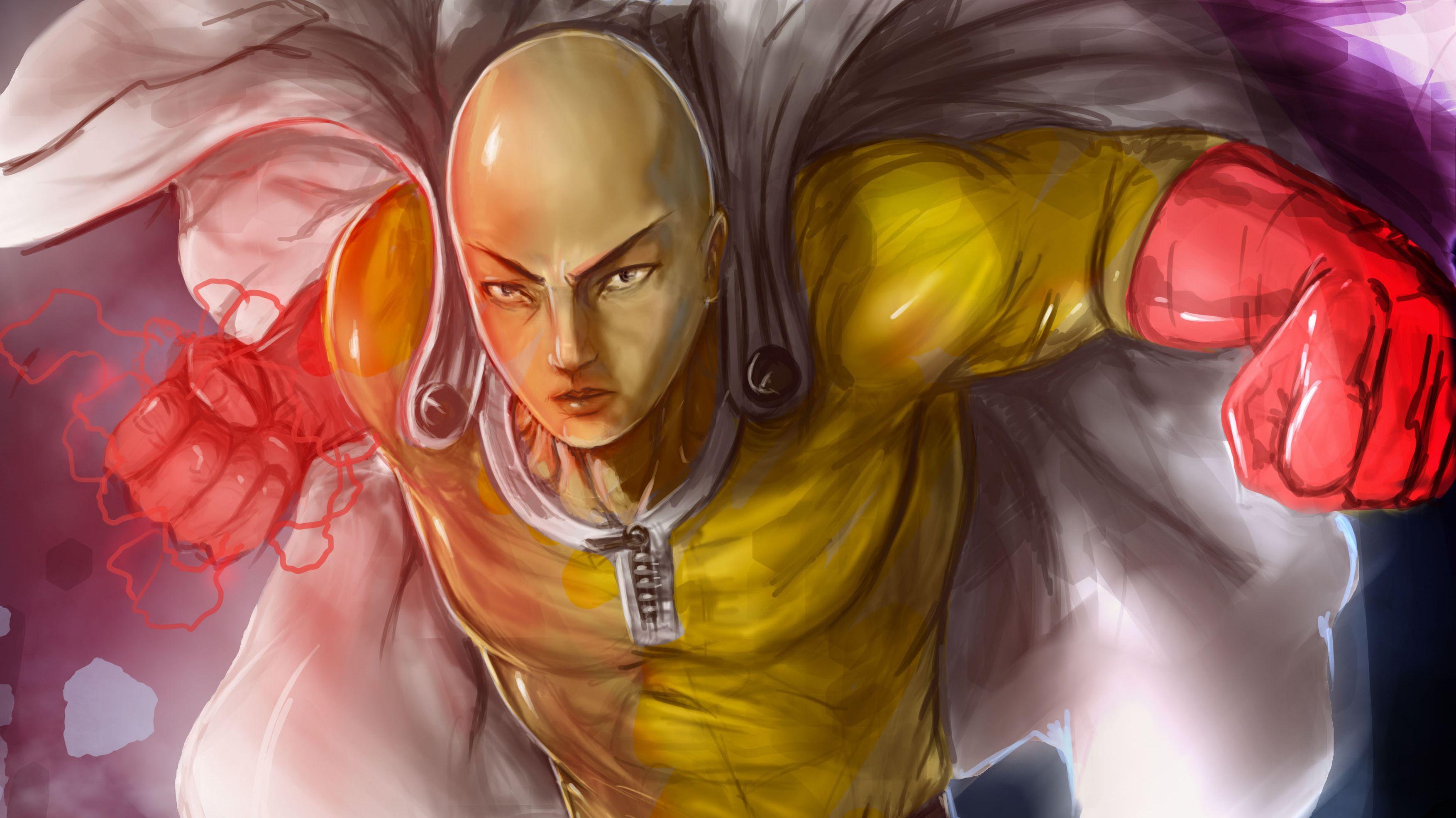 SAITAMA ONE PUNCH MAN Ultra HD Desktop Background Wallpaper for 4K UHD TV :  Widescreen & UltraWide Desktop & Laptop : Tablet : Smartphone