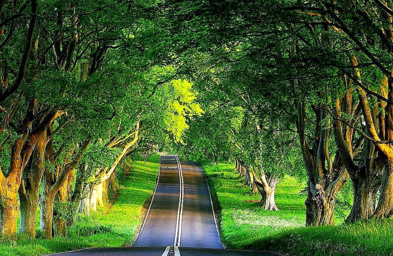 Abstract Nature Wallpapers Top Free Abstract Nature Backgrounds Abstract Nature Wallpapers Top Free Abstract Nature Backgrounds