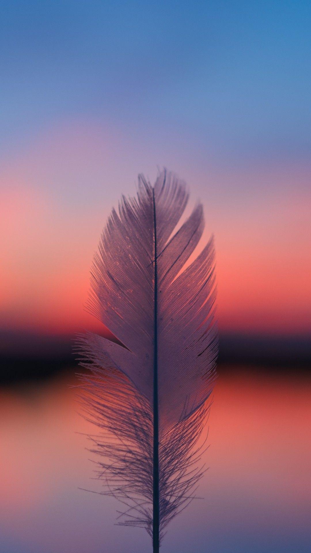 1080x1920 Feather Focus Blur Sunset 5k Mobile Wallpaper iPhone, Android, Samsung, Pixel, Xiaom. Pretty wallpaper iphone, Sunset wallpaper, Beautiful wallpaper background