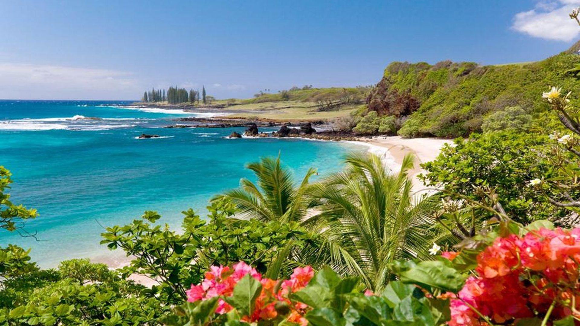 Hawaiian Island Pictures Background Images HD Pictures and Wallpaper For  Free Download  Pngtree