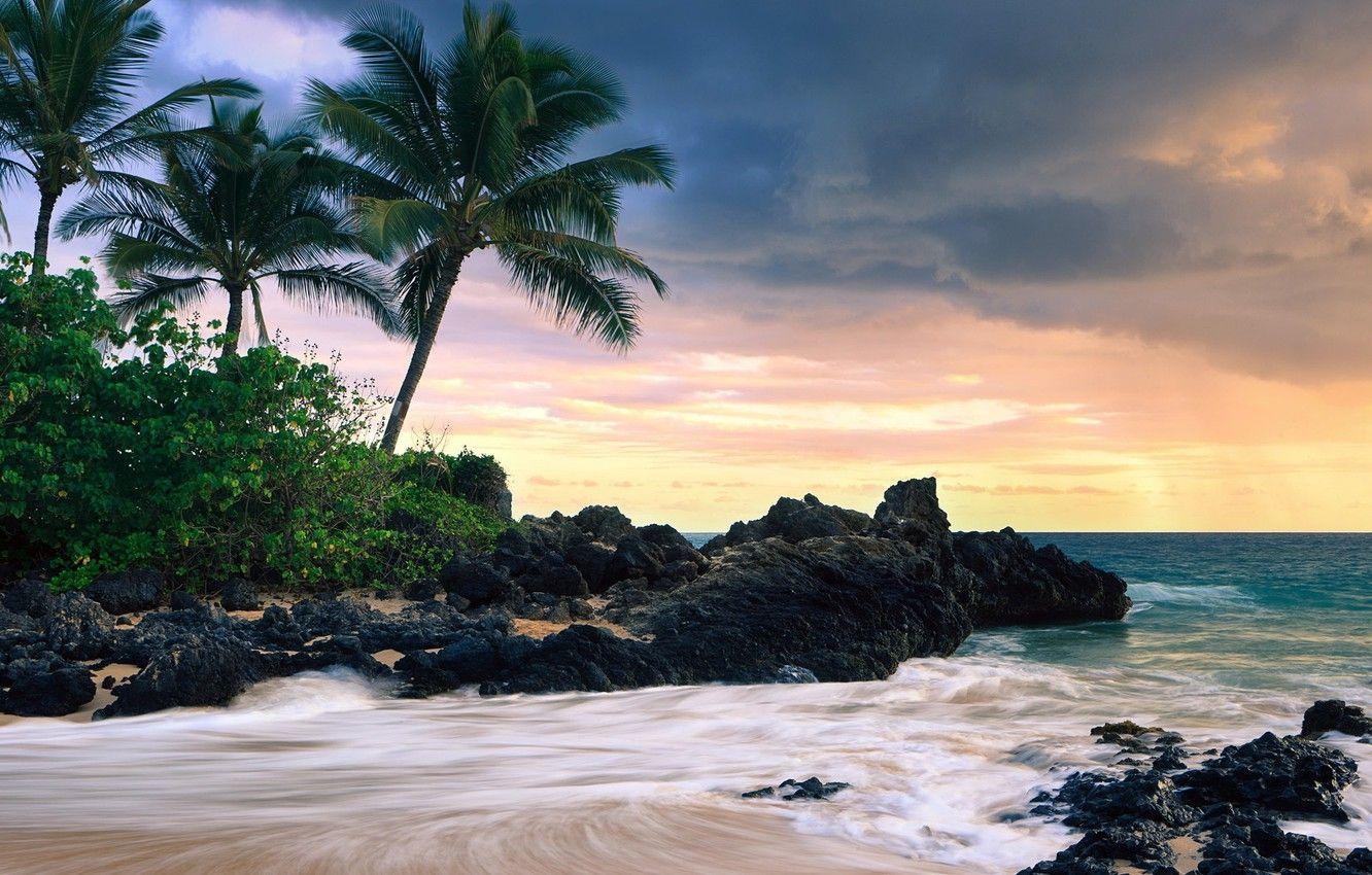1332x850 Wallpaper beach, nature, hawaii image for desktop, section природа