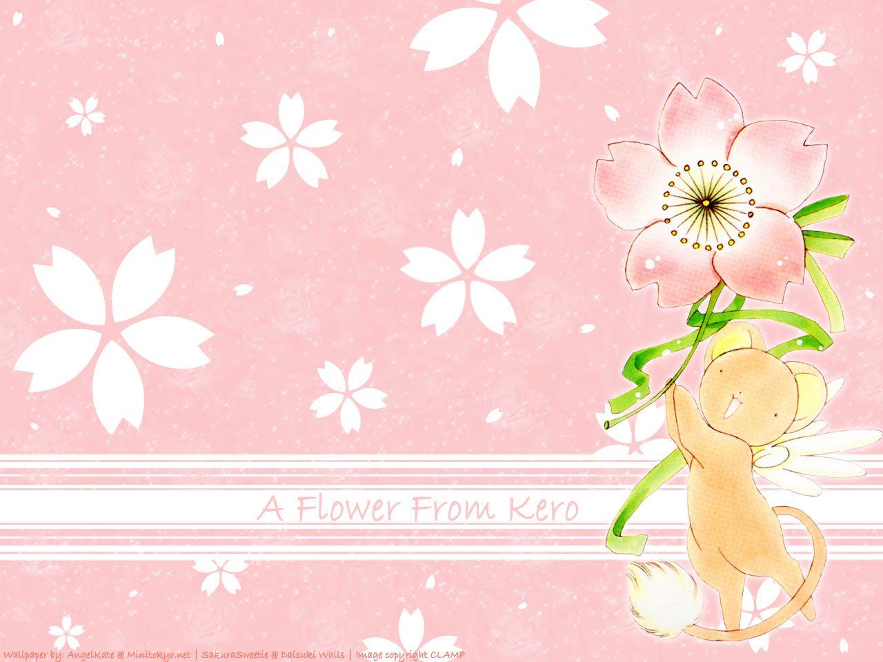 1280x960 A flower from Kero Sakura Wallpaper