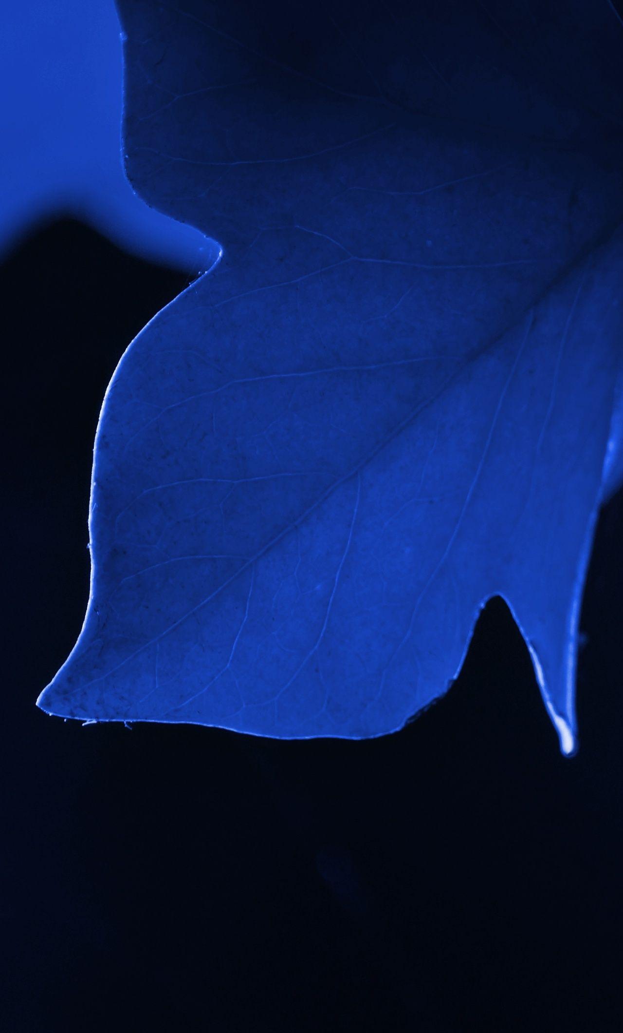 Blue Leaf Wallpapers - Top Free Blue Leaf Backgrounds - WallpaperAccess