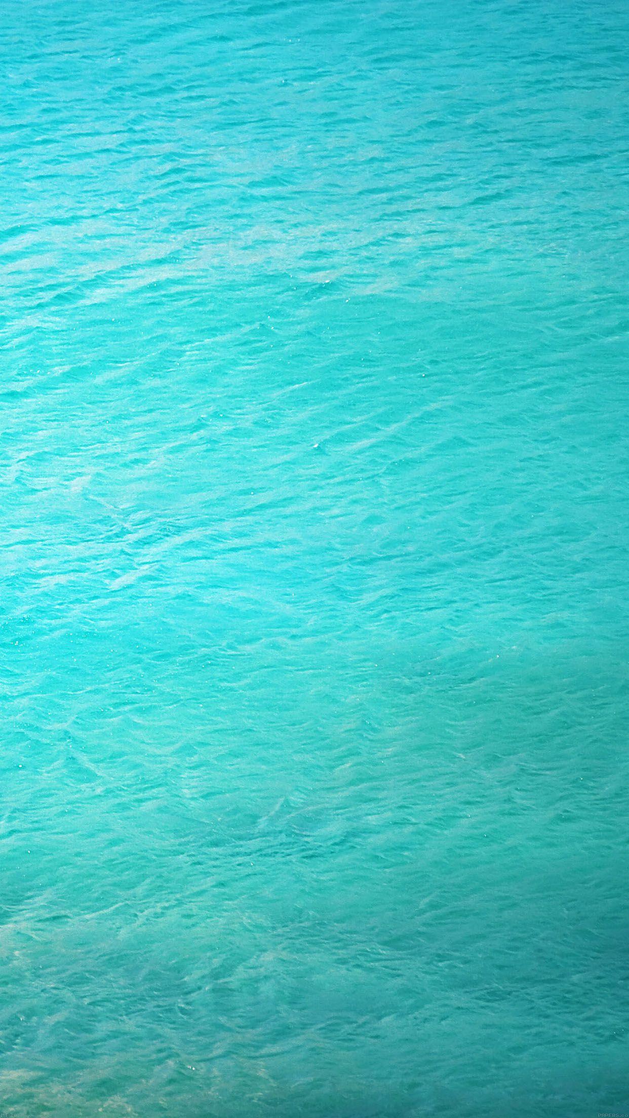 Ocean Life iPhone Wallpapers Top Free Ocean Life iPhone Backgrounds